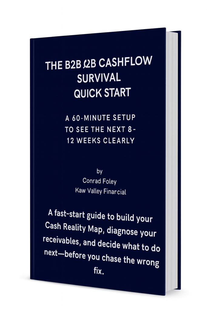 THE B2B CASHFLOW SURVIVAL GUIDE QUICK START