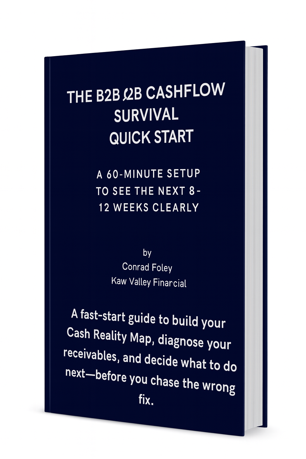 B2B Cashflow Survival Guide Quick Start eBook